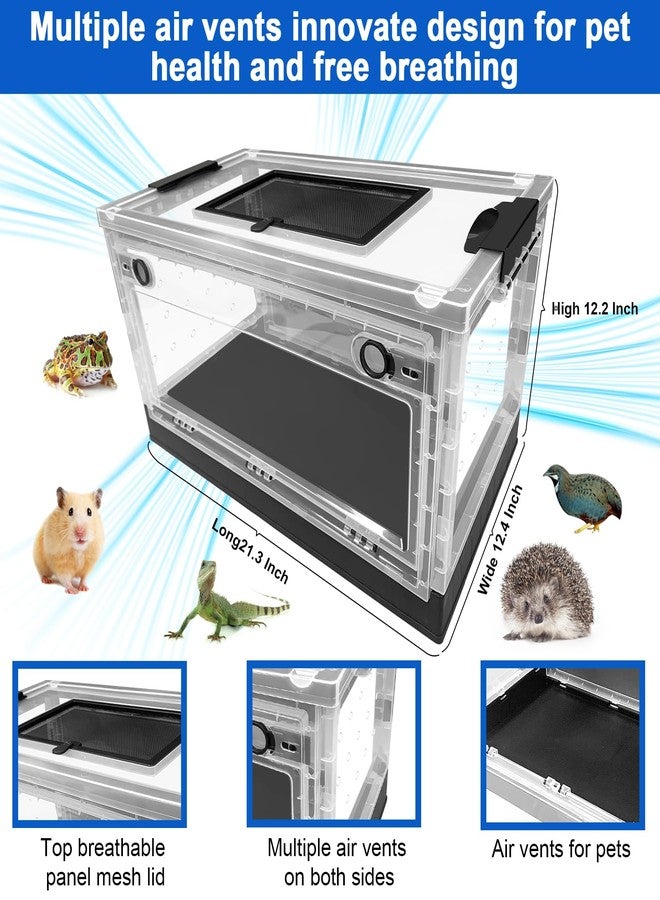 NestBasics Hamster breeding House Reptile breeding Cages with Wheels (Big Size) - Image 2